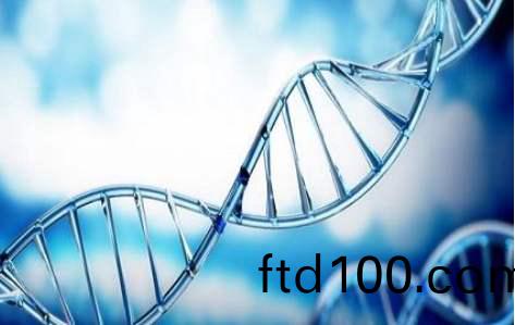 百傲2019再穫三證，進入DNA免提時代