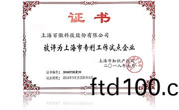 上海市專(zhuan)利工作試點企業